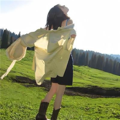 奈何寨主不好当